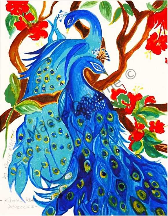 Peacocks