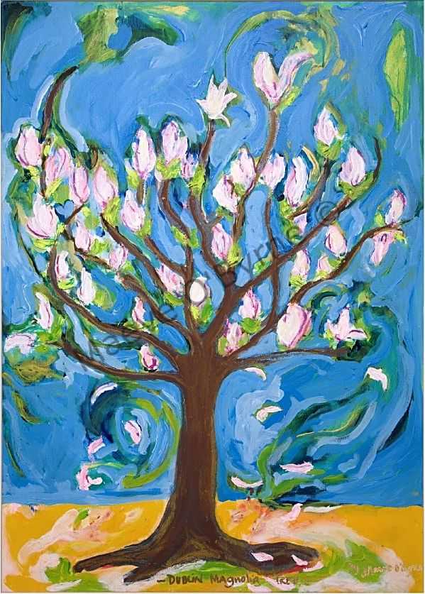 Dublin Magnolia Tree