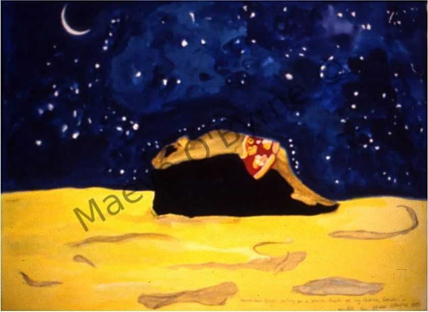 Night Diver under Shooting Stars
