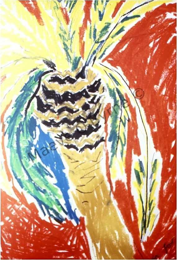 California Palm Tree