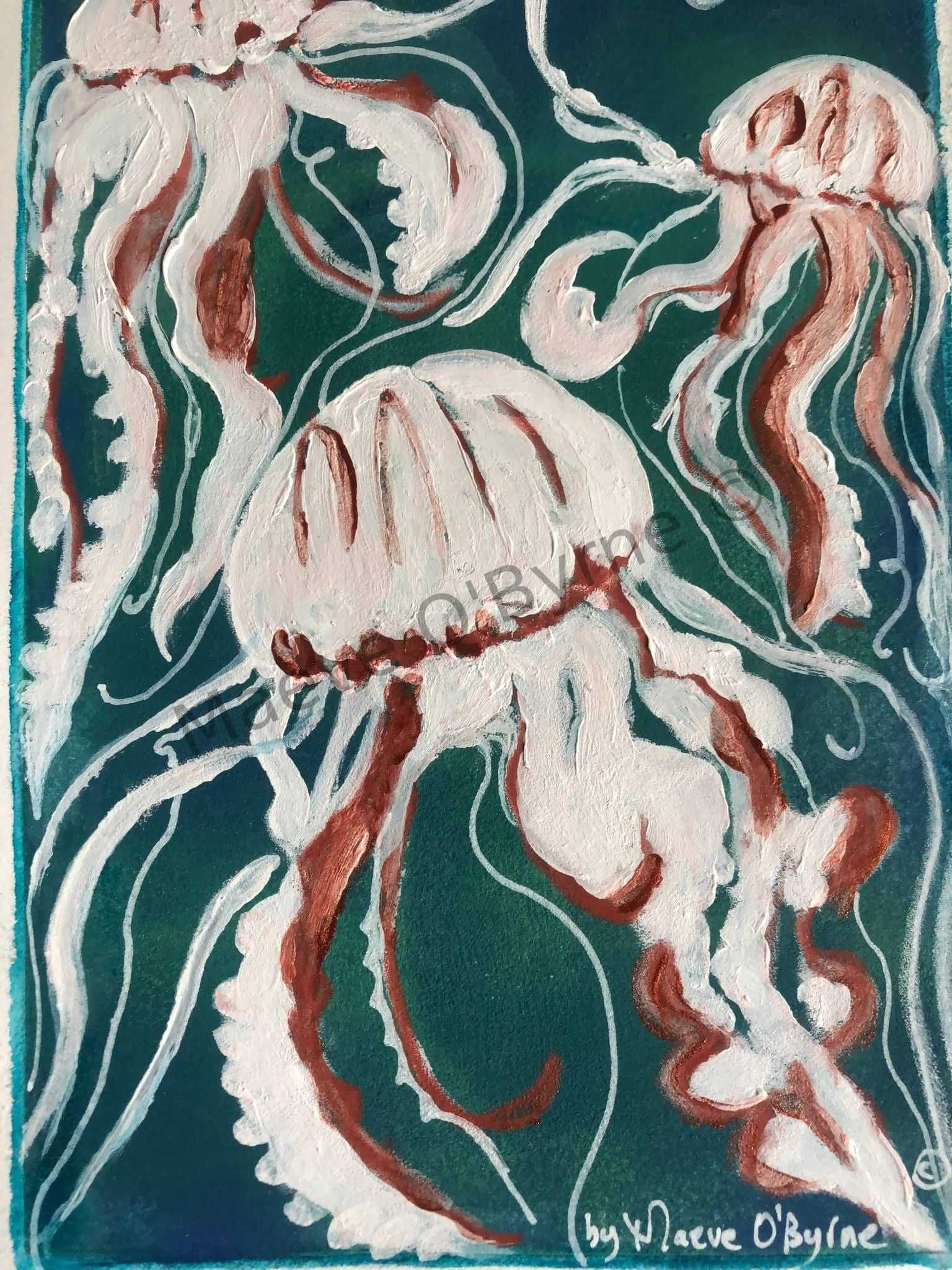Compass jellyfish, Co Wexford