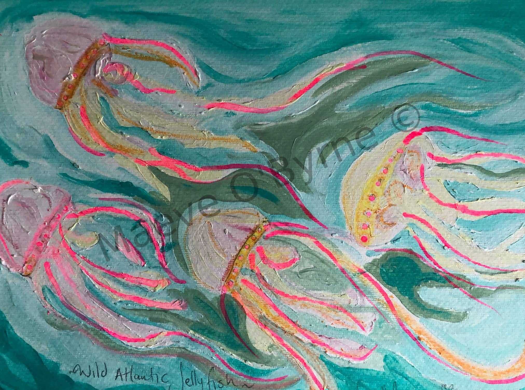 Wild Atlantic jelly fish