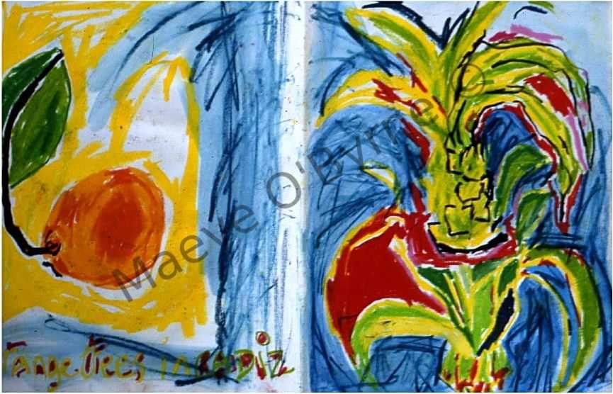 Hawaiian Flora and Fauna