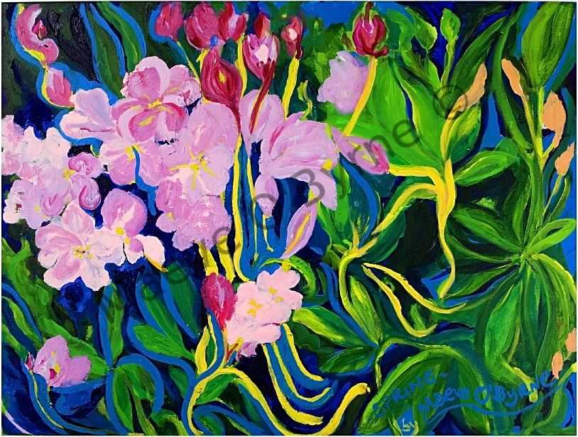Spring (Featured on the Clinic RTÉ)